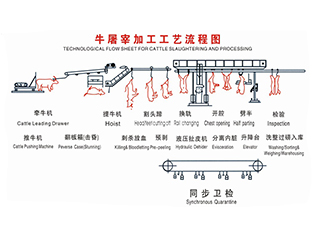 黔南牛屠宰工藝流程