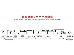 鄂爾多斯家禽屠宰工藝流程當前