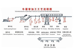 陽江牛屠宰工藝流程