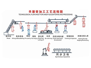 北京 羊屠宰工藝流程